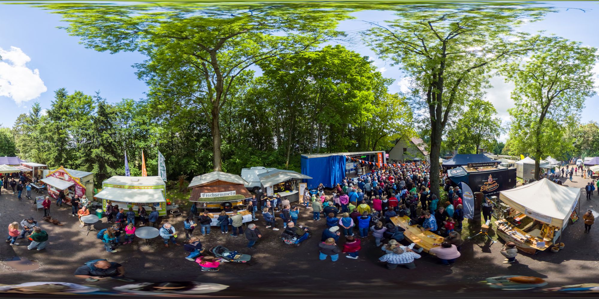 Speedcarving Versteigerung