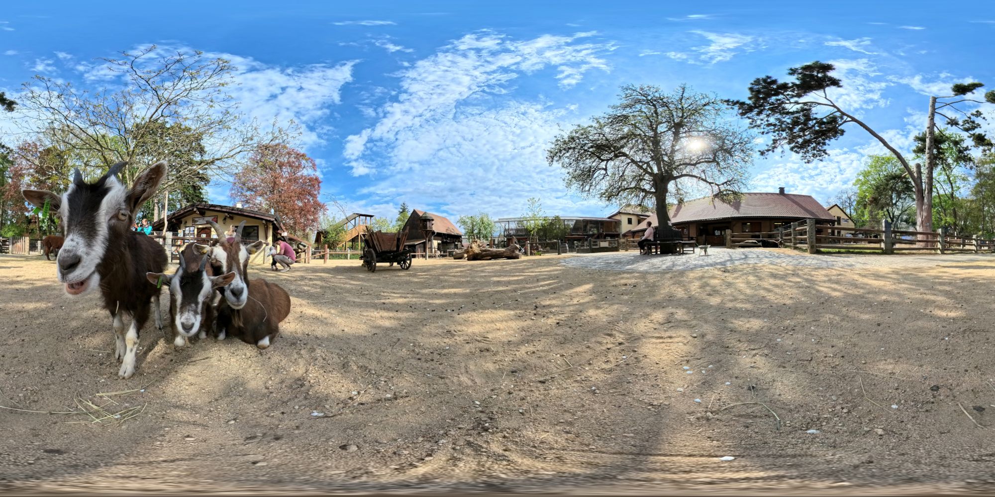 Streichengehege Ziegen, Alpakas, Schafe