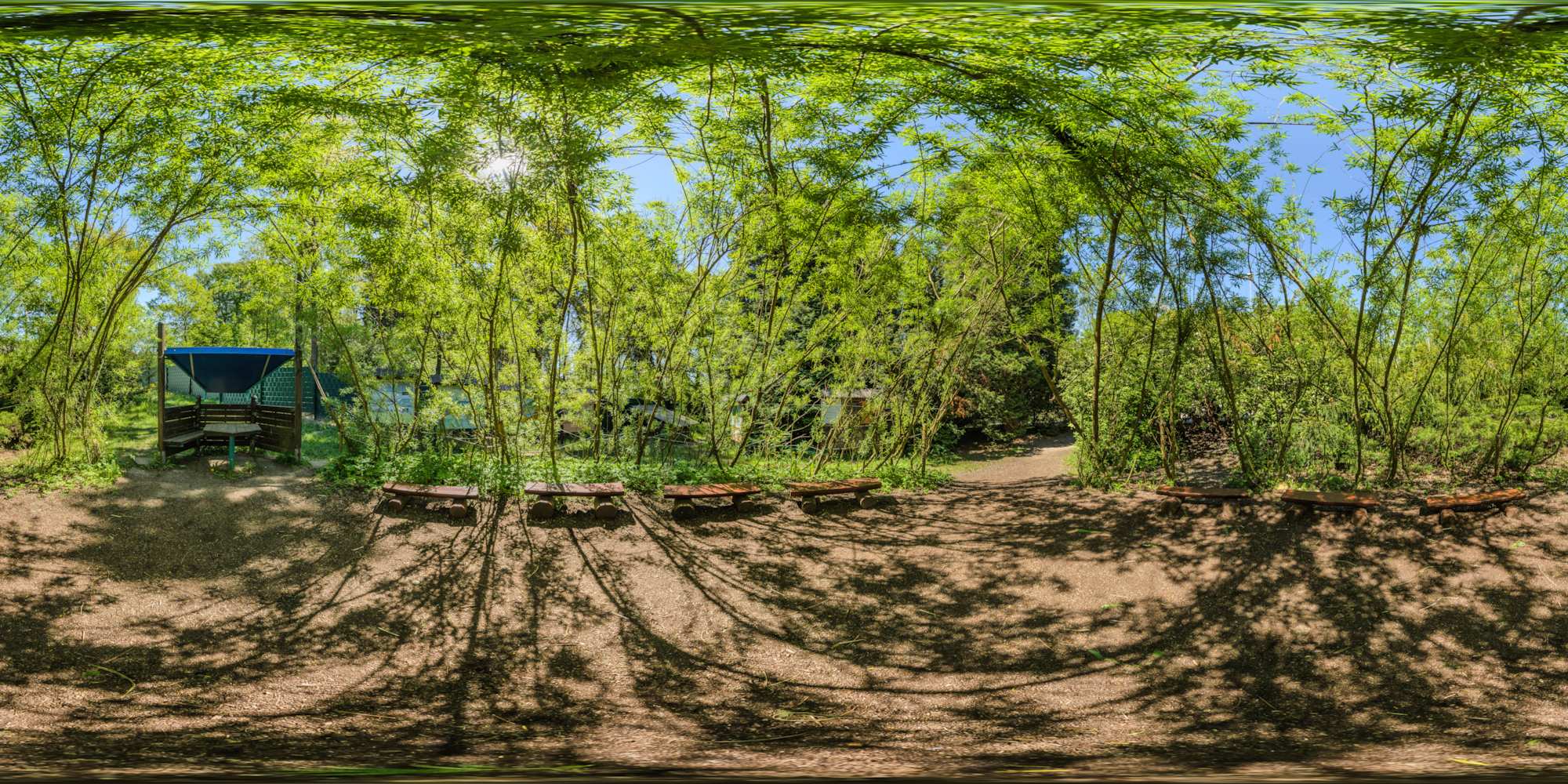 Grünes Klassenzimmer