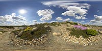 360 Grad Panorama: Heidehang (Findlingspark Nochten)