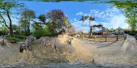 360 Grad Panorama: Esel (Naturschutz-Tierpark Görlitz)